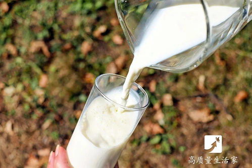 講究 買牛奶應(yīng)該這樣挑選