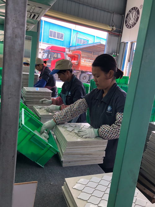 科技引領(lǐng)創(chuàng)新,綠色健康發(fā)展,以匠心精神深耕產(chǎn)品